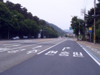 대전시, 현충일을 맞아 현충원로 노면 재도색