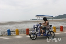 신안군, 증도에 공공자전거 슬로트래블 운영