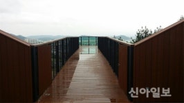 철원, 금학산 ‘하늘 숲 땅 숲’ 조성사업 완료