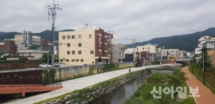 순천시, 시민 참여 옥천변 옹벽 녹화사업 추진