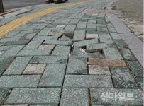 전국 보행자도로 관리규정·품질기준 일원화