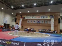 경북도, 성주서 2018 경북씨름왕선발대회 개최