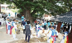 진안 상가막 마을, 율무 떡 축제 개최