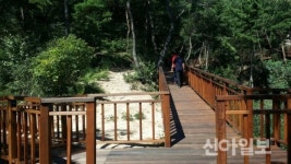 홍성군, 용봉산 일대 무장애 숲길 추가 조성