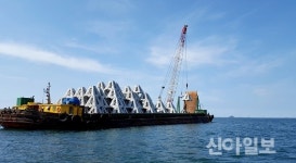 태안군 전 연안 바다목장 조성…150억 투입 수산자원 복원