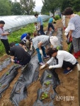 구리 발달장애인, 힐링 농장에 행복을 심다