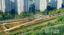 마포구, ‘나무 100만 그루 공기청정 숲’ 조성