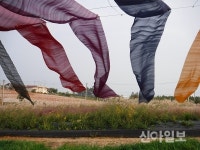 함평군, 억새정원 2개소 개장