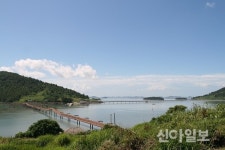 신안군, ‘가고 싶은 섬’ 사업…‘퍼플 섬’ 조성