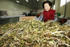 “‘욜로(YOLO)’ 여행, 단양서 보고 먹고 즐겨요”