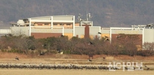 순천만, 겨울철 진객 ‘흑두루미 탐조프로그램’ 운영