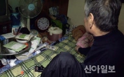 태백, 독거노인 현황조사 추진