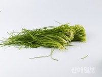 씻은 채소 실온 보관시 유해균 급증…식중독 위험↑