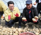 권익현 부안군수, 감자수확 현장 방문