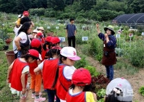 강남구, 수서동 친환경 도시텃밭 개장