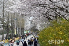 목포시, 2019 유달산 봄 축제 개최