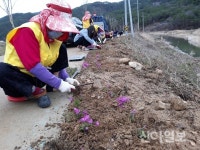 진안군 마령면, 마이산 남부 꽃길 조성