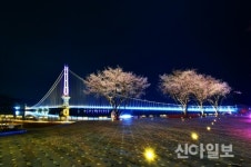 "예산군 벚꽃길에서 봄을 느껴보세요"