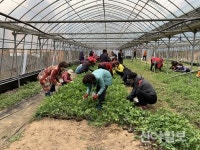 의정부 도시농업기술과, 도시주부 농사체험
