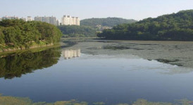 농어촌公 진주·산청지사, 금호저수지 마름대책나선다