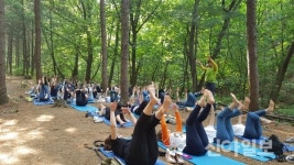 산음 숲으로 힐링하러 오세요