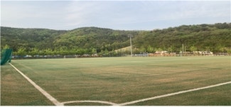 대구체육회, 성서국민체육센터 축구장 인조잔디 개선