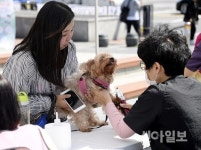 광진구 댕댕이와 함께 즐기는 페스티벌 개최