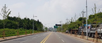 진주시, 문산 진입 도로변 쾌적한 은행나무 가로수길 조성
