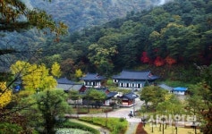 가정의 달 ‘천년고찰 수타사’로 떠나보자