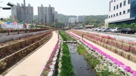 봄양주 덕계천 산책로, 시민 힐링 공간으로 ‘각광’