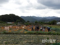 영천 2150부대, 농촌일손돕기 대민지원 실시