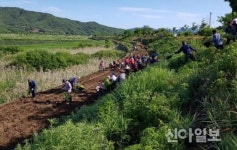 철원 도창리, 하천 산책로에 꽃길조성