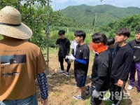 군위 ‘삼시세끼 군위농장편’ 체험프로그램 운영
