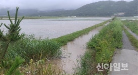 장흥군, 삼산지구 배수개선사업 실시