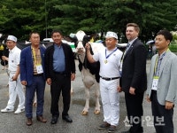 영천 구정목장, 한국 홀스타인 그랜드 챔피언 영예