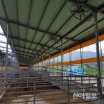 보성군, 폭염대비 가축 피해 예방 총력