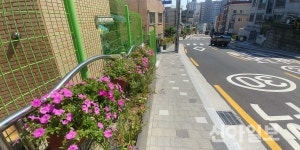 강북구, 삼양동69길 꽃길 조성사업 완료
