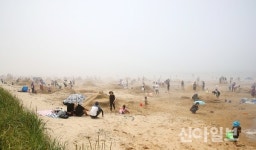 국내 최대 사구 신두리 해변, 태안의 대표 참여형 축제로 거듭