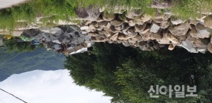 [포토] 함양 덕평리 마을입구에 방치된 고물과 자연석사