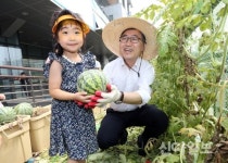 아이들과 함께하는 도심 속 ‘수박 따기’ 체험