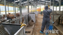 거창, 하절기 가축 무료 순회 진료