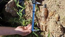 광주 아파트 공사장서 60mm 박격포탄 발견 