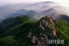 황금빛 가을 정취 느끼며 서산으로 가을여행을 떠나보자
