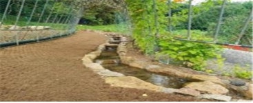 부산시, 동심 자극 반딧불이·다슬기 방사 체험 개최