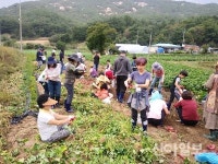 괴산, 서울농장 시범운영 프로그램 운영 ‘호응