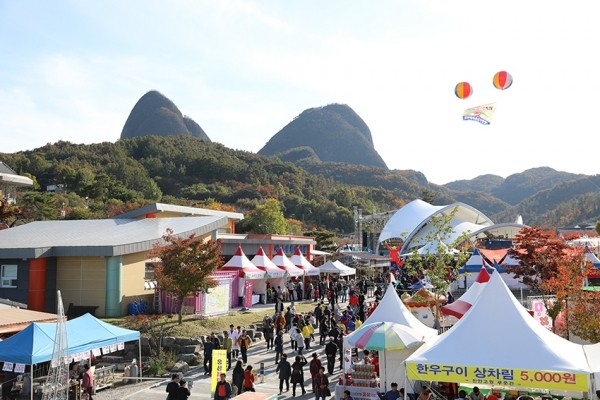 2024 진안 홍삼축제, 나는 고양이로소이다 공연으로 방문객들 매료시켜