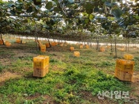 진도군, 소비자와 함께하는 팜파티 25일 개최