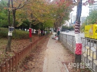 남동 장수서창동 ‘털실옷 입은 가로수길’ 조성