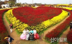 서산으로 떠나는 가을여행… 볼거리·즐길거리·먹을거리 3박자 척척