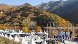밀양시 ‘찾아가는 제22회 밀양얼음골 사과축제’ 개최